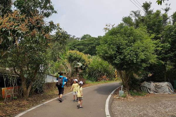 【新竹/橫山】大嬸婆的家手工窯烤麵包