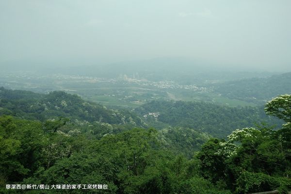 【新竹/橫山】大嬸婆的家手工窯烤麵包
