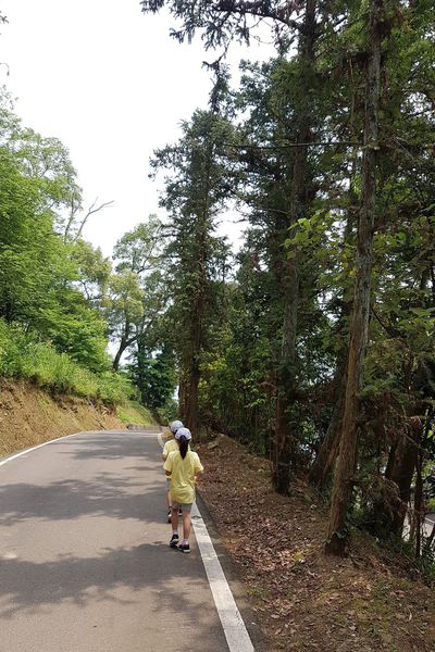 【新竹/橫山】大嬸婆的家手工窯烤麵包