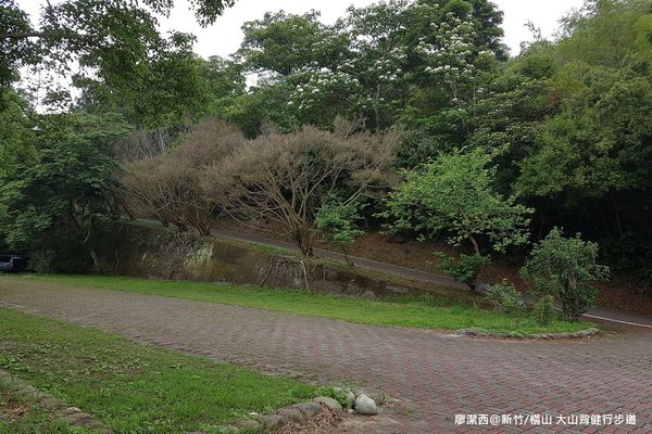 【新竹/橫山】前往大嬸婆的家手工窯烤麵包