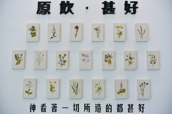 原飲：台中西屯區美食-梨子咖啡館旗下新品牌，飲品採用原礦家農法無農藥茶葉及新鮮水果，全系列飲品加珍珠0元！