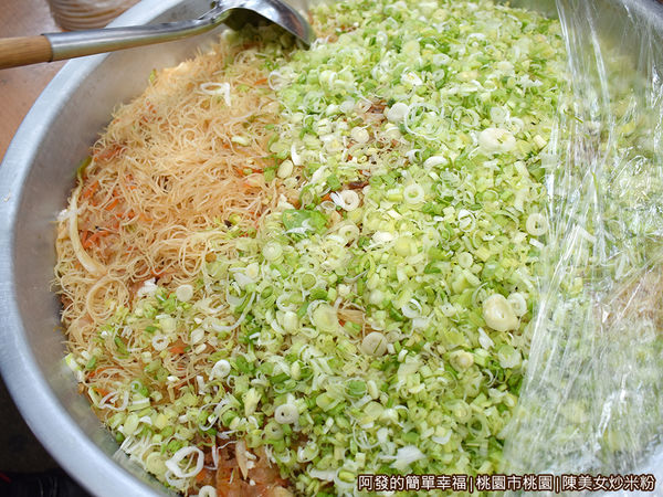 陳美女炒米粉07-滿滿蔥花的炒米粉.JPG