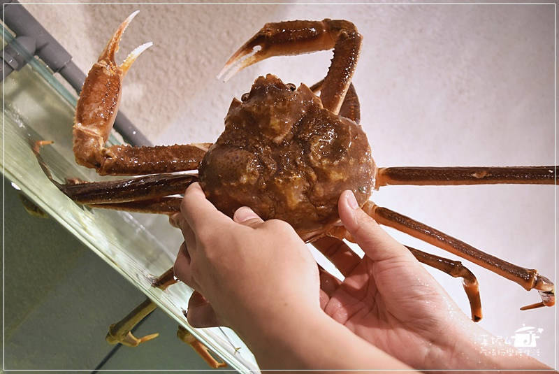 海九麻辣海鮮火鍋