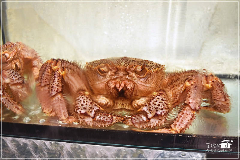 海九麻辣海鮮火鍋