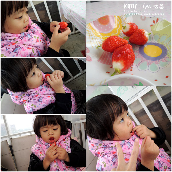 2017-12-18親親農場採草莓 (12).jpg