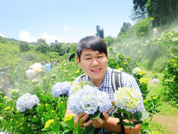 午後陽光繡球花田 (23).JPG