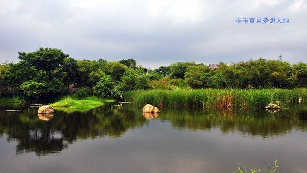 鹿角溪濕地-23.JPG