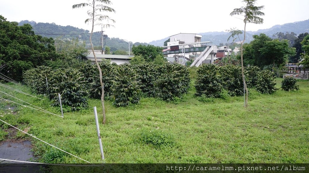 DSC02019.jpg DSC02019.jpg