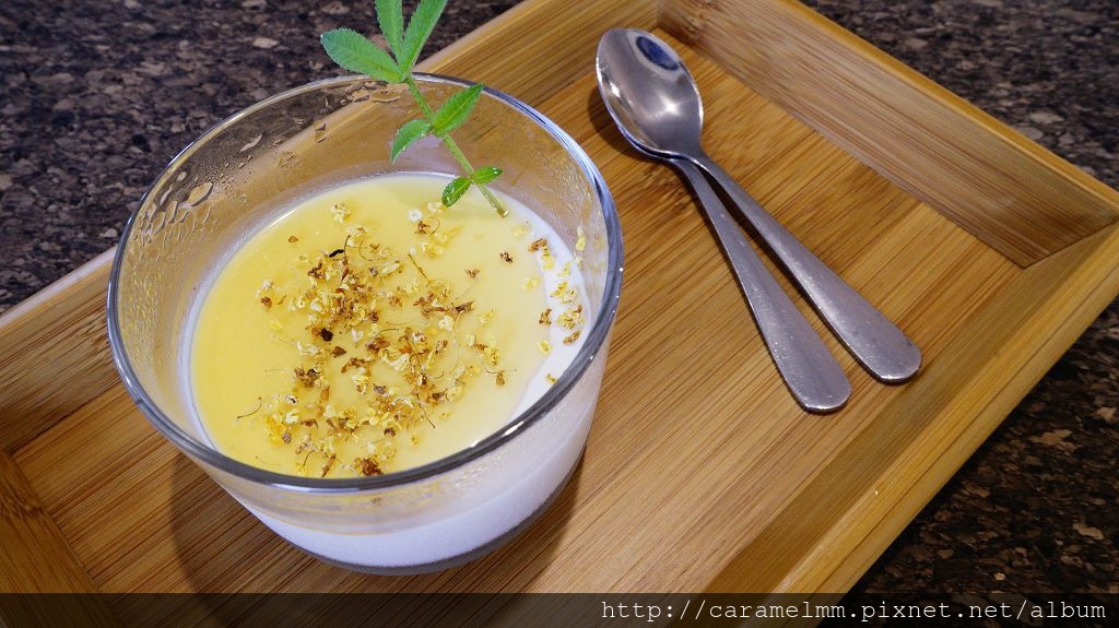 陳教練咖啡莊園 DSC02172.jpg