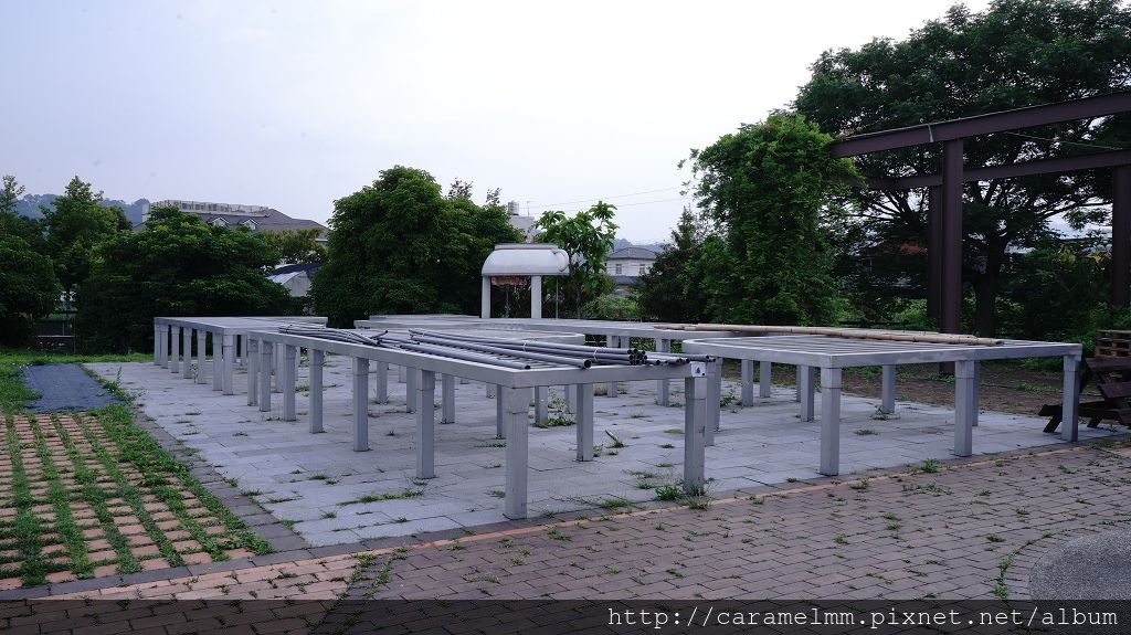 陳教練咖啡莊園 DSC02005.jpg