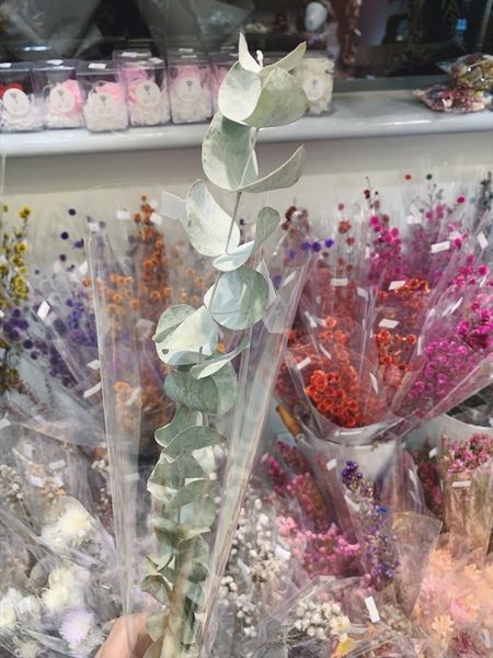 台北質感花店推薦,乾燥尤加利葉子.JPG
