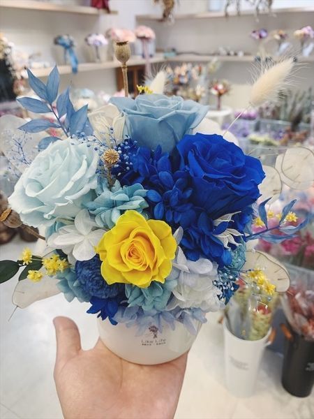 乾燥花花材台北推薦,,藍色永生玫瑰花盆栽推薦質感開幕盆栽.JPG