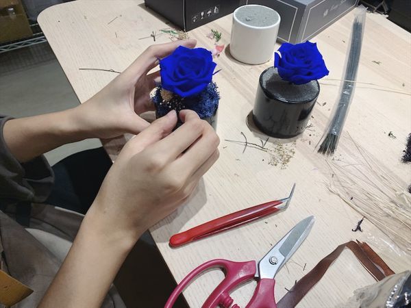 台北質感花店推薦,花藝師正在設計永生花盆栽藍色永生花.JPG