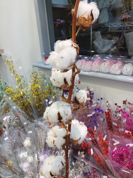 台北質感花店推薦,木棉花花材.JPG