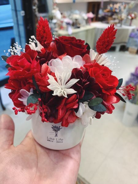 台北質感花店推薦,紅色永生花開幕盆栽,永生花開幕盆栽.JPG