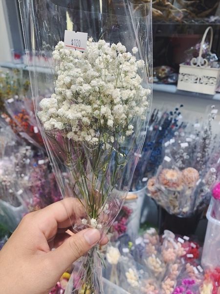 乾燥花花材台北推薦,,滿天星花材推薦.JPG