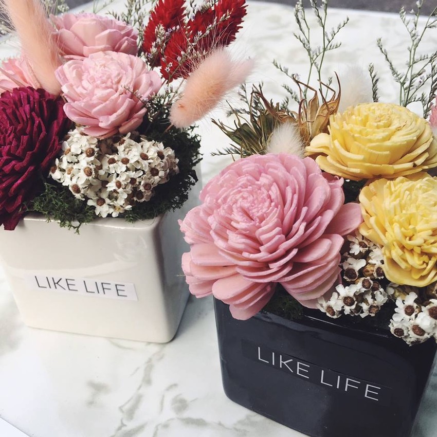 迷你型乾燥花盆栽,美甲店送禮專用