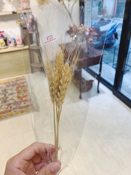 台北質感花店推薦乾燥小麥.JPG