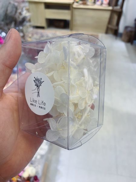 乾燥花花材台北哪裡買？永生繡球葉子推薦.JPG