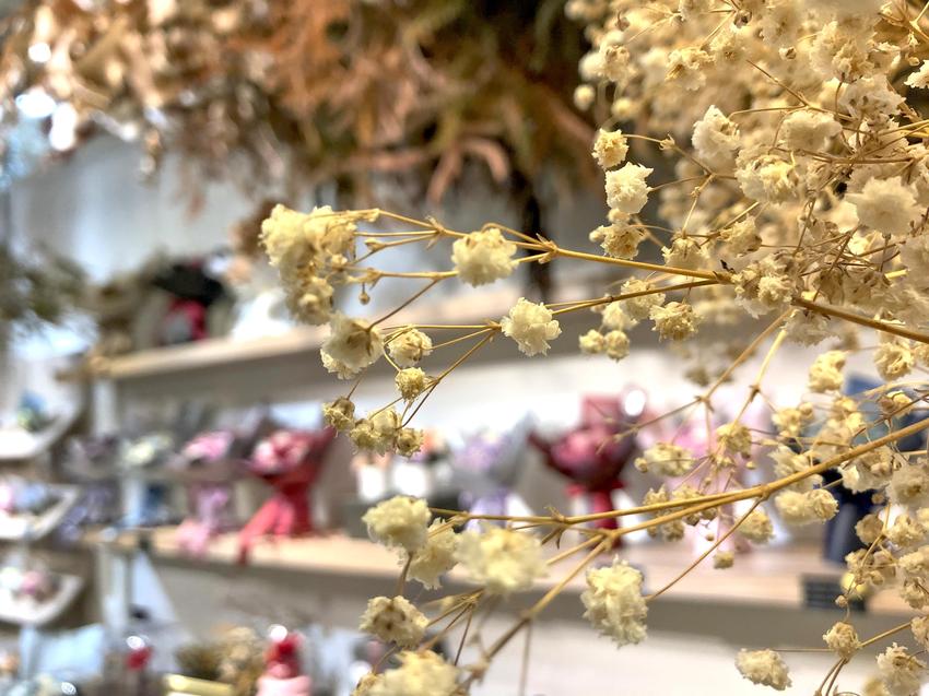 喜歡生活乾燥花,永生花,我不是他媽媽,IG拍照,結婚紀念,紀念日送禮,捷運一日遊,一日輕旅行,網美,法式,韓式,韓系,法式,藍芽喇叭