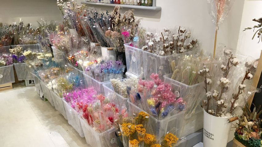 喜歡生活乾燥花,永生花,我不是他媽媽,行天宮,網路花店,送花,新娘捧花,婚禮布置,手腕花,花冠,盆栽,DIY,花藝課,韓系,乾燥花,花藝課