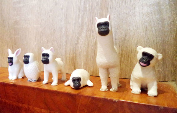 土城海山捷運-Homa咖啡·寵物友善早午餐為自己訂製喜愛的早點吧!