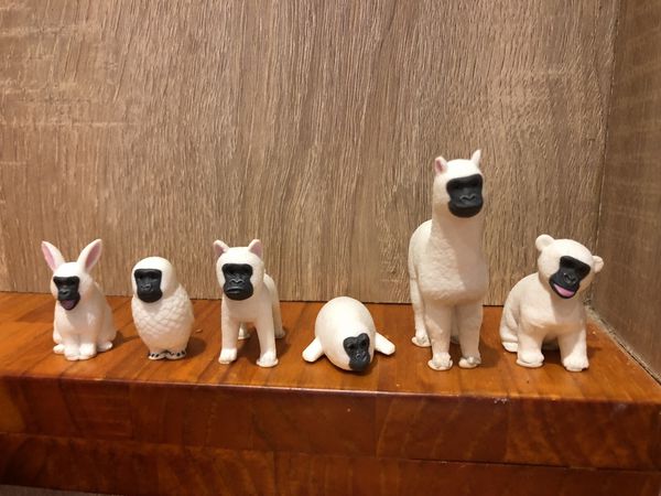 homa00 (27) (1024x768).jpg