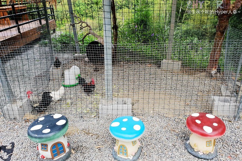 Doo Coffee│以法鬥為主題的苗栗公館景觀咖啡廳,法鬥拿鐵狗頭飄浮在咖啡上萌度破表! @強生與小吠的Hyper人蔘~