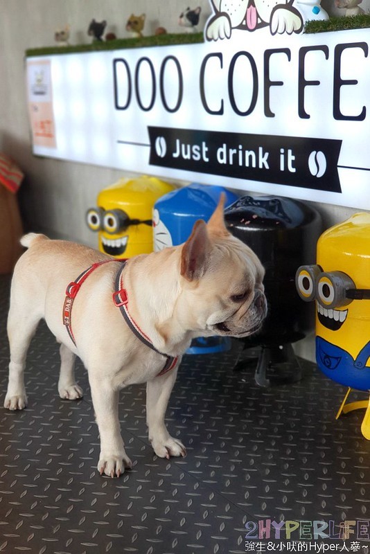 Doo Coffee│以法鬥為主題的苗栗公館景觀咖啡廳,法鬥拿鐵狗頭飄浮在咖啡上萌度破表! @強生與小吠的Hyper人蔘~