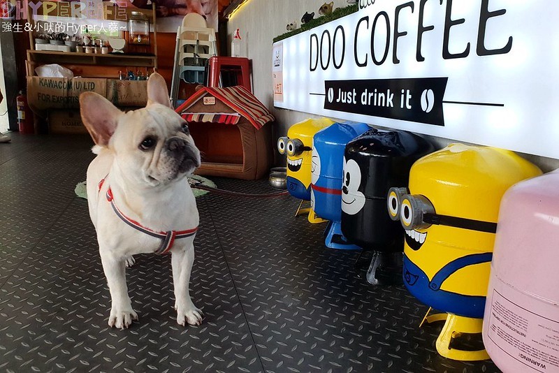 Doo Coffee│以法鬥為主題的苗栗公館景觀咖啡廳,法鬥拿鐵狗頭飄浮在咖啡上萌度破表! @強生與小吠的Hyper人蔘~