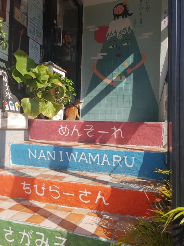 【花蓮.市區】夏季消暑好店。浪花丸超可愛冰品。寵物友善咖啡廳可落地