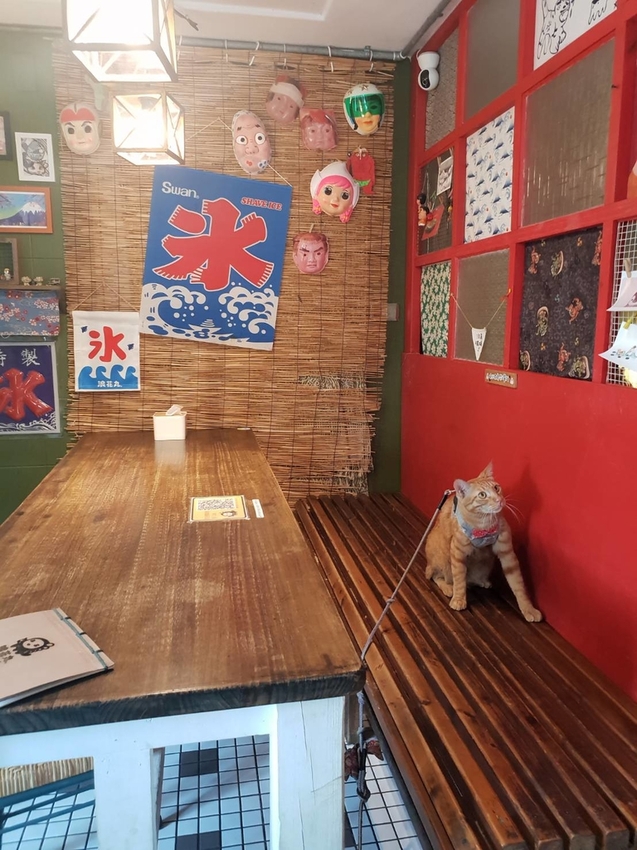【花蓮.市區】夏季消暑好店。浪花丸超可愛冰品。寵物友善咖啡廳可落地