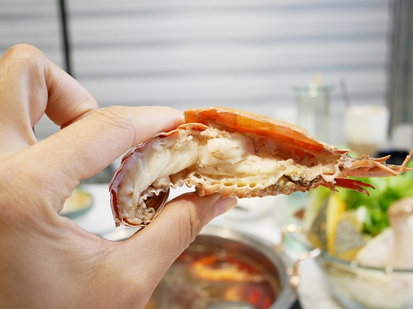 玖樓鍋物：9Floor玖樓鍋物料理-桃園新開幕高cp值火鍋 