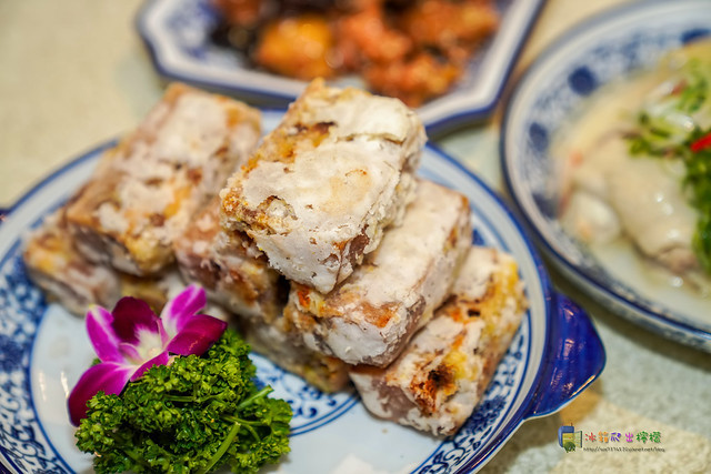 50599197163_456947cc25_o