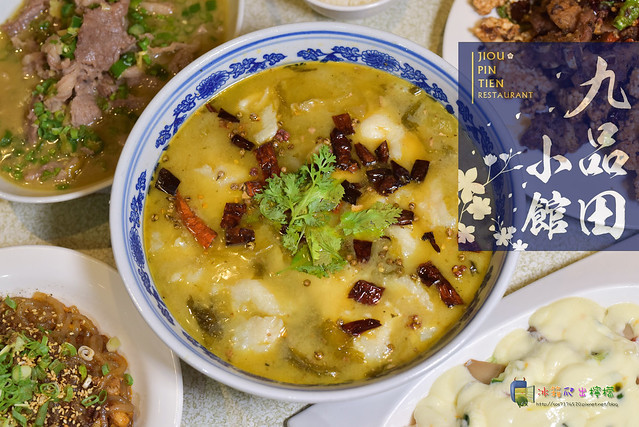 48786325576_0718b75a21_o