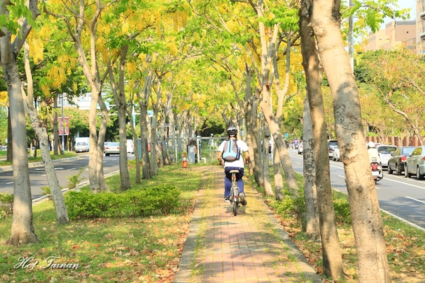 阿勃勒賞花季:【台南景點】夏日的一抹美好,為藍天劃上最美的印記:阿勃勒花季