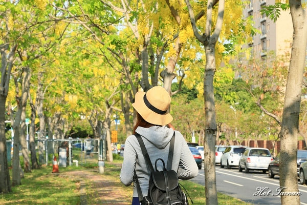 阿勃勒賞花季:【台南景點】夏日的一抹美好,為藍天劃上最美的印記:阿勃勒花季