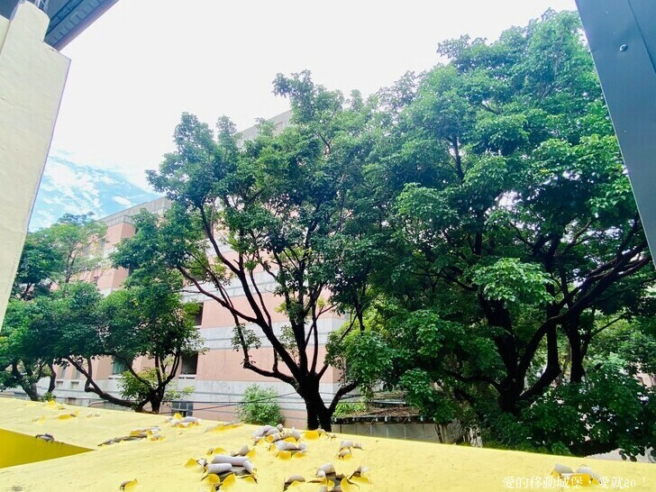 【台中住宿推薦】 逢甲25行館 就隱藏在逢甲巷弄裡 平價舒適 台中說走就走的輕旅行必選 緊鄰秋紅谷生態公園 愛就一起快樂GO !!