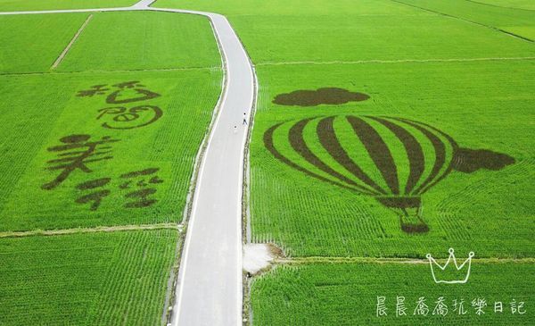 宜蘭伯朗大道稻間美徑