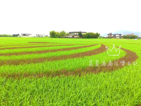 宜蘭伯朗大道稻間美徑