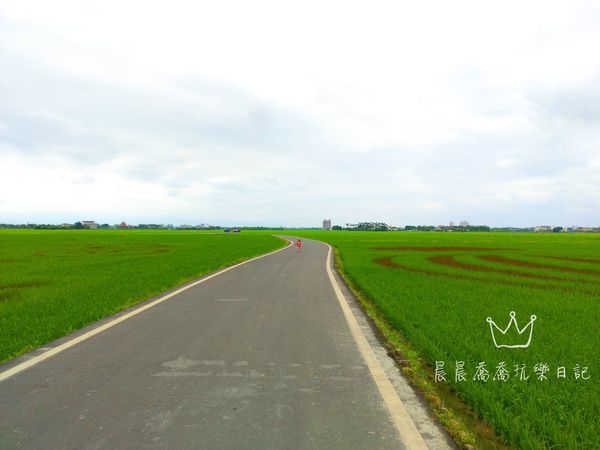 宜蘭伯朗大道稻間美徑