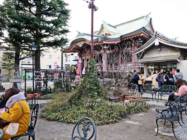 今戶神社 (15).jpg
