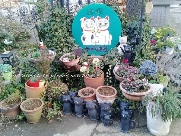 今戶神社 (44).jpg