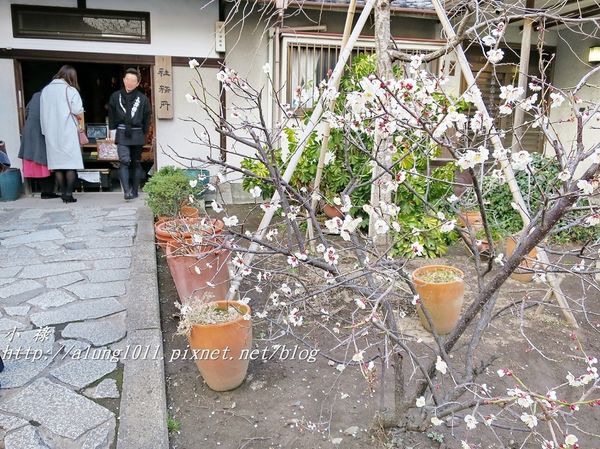 今戶神社 (33).JPG