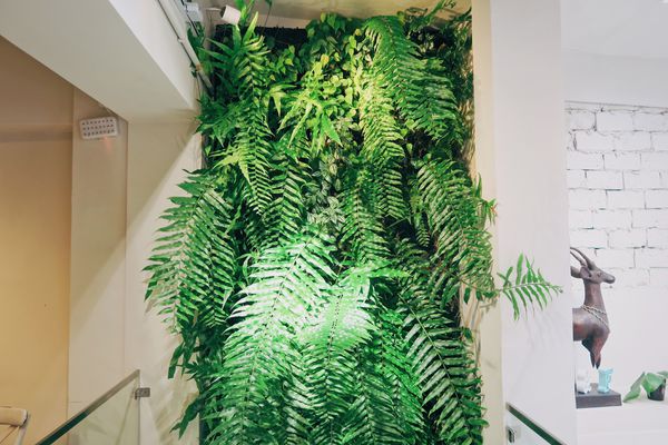 OBFZ4171.JPG OBFZ4171.JPG