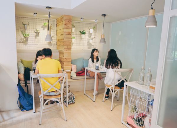 ACEB4661.JPG ACEB4661.JPG