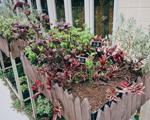 RELE4125.JPG RELE4125.JPG