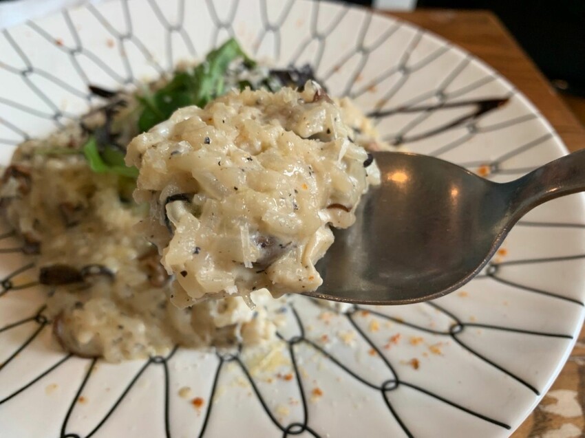 陽明山寵物友善餐廳｜Brick Yard 33 1/3 美軍俱樂部餐廳 台北小美國 戶外水池超chill ！