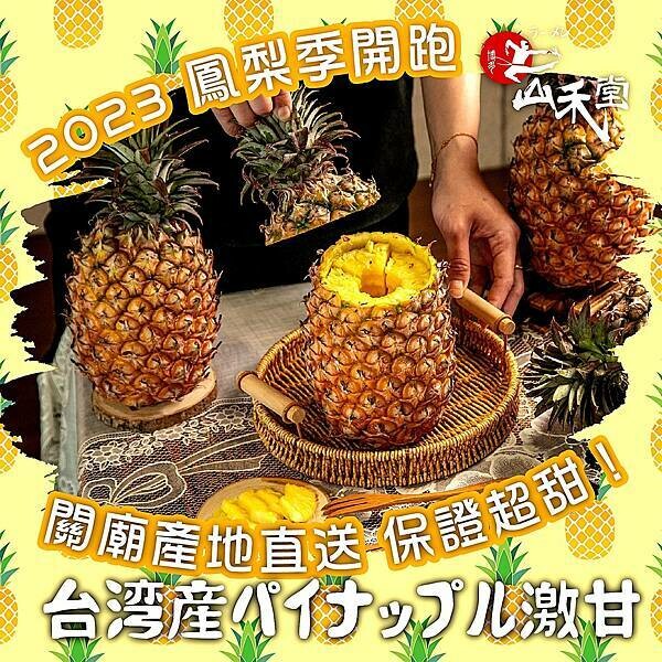 山禾堂_鳳梨季開跑01-01.jpg