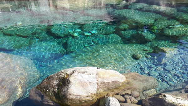 20180521_082546.jpg 20180521_082546.jpg